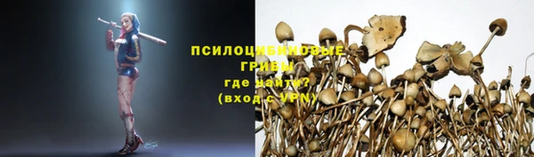 молекула духа Аркадак
