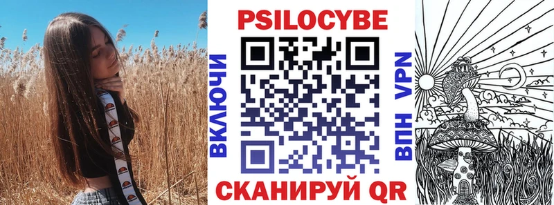 Псилоцибиновые грибы Psilocybe  Губкинский 